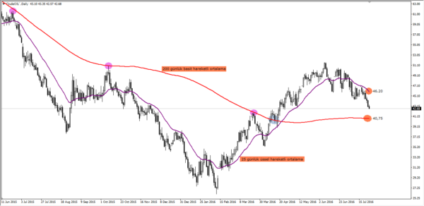 ortak ortalama kullanımı
