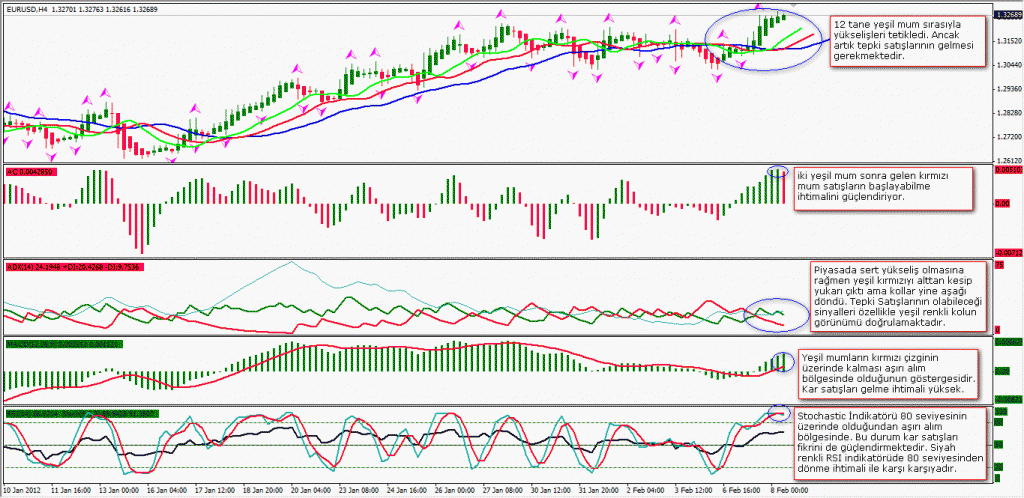 4 yapraklı yonca 8 şubat 2012 4 Yapraklı Yonca 8 şubat 2012