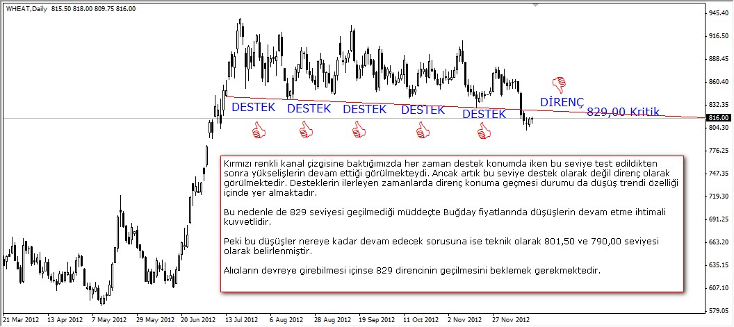 Buğdayda 829 Seviyesi Kritik