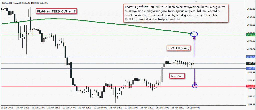 FLAG Mi TERS CUP Mı