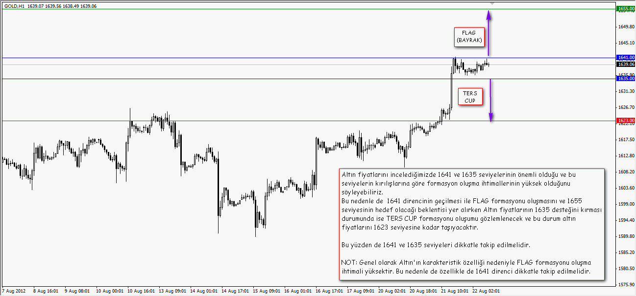 GCM Forex Altın Fırsatı2