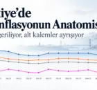 Turkiyede Dezenflasyonun Anatomisi