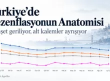 Turkiyede Dezenflasyonun Anatomisi